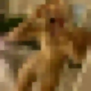 Photo perso de Myriam, 43 ans à Sermaise - plan discret