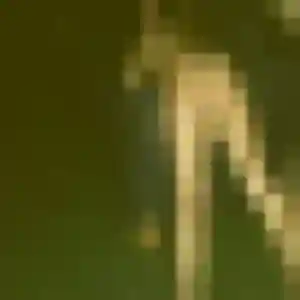Photo privée de Rachida, 45 ans à Serres-sur-Arget - rencontre sans lendemain