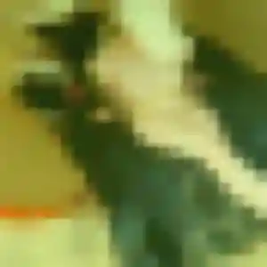 Photo perso de Thais, 41 ans à Serres-sur-Arget - rencontre coquine