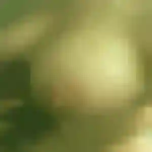 Solene, 44 ans, cherche un plan cul à Serrières-en-Chautagne