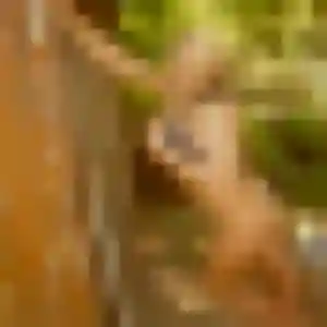 Isabella (32 ans) à Servaville-Salmonville cherche une rencontre maintenant