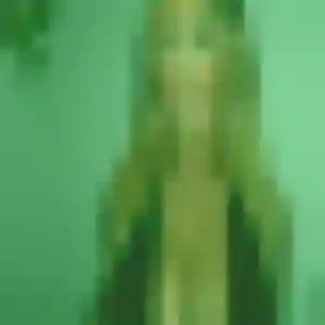 Clotilde, 41 ans, dispo pour plan cul à Sèvres