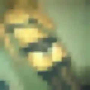 Photo sexy de Alexandra, 38 ans à Sigogne - rencontre coquine