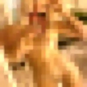Oumaima, 30 ans, connectée à Soucieu-en-Jarrest pour une rencontre coquine