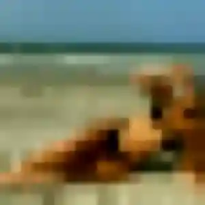 Profil de Josiane à Souvigny (41 ans) - plan cul gratuit