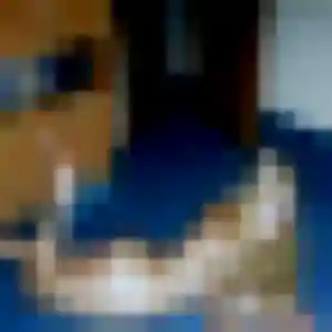 Prisca, 39 ans, en ligne à Sylvains-Lès-Moulins pour une rencontre coquine
