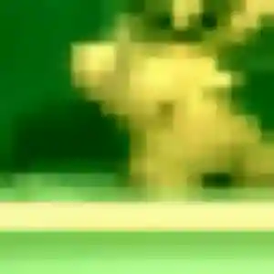 Luna (45 ans) à Taulé propose une rencontre ce soir