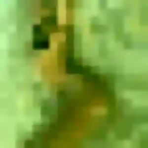 Photo sexy de Yannick, 37 ans à Terrasson-Lavilledieu - rencontre coquine