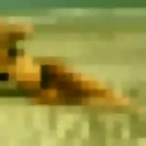 Photo privée de Pascale, 38 ans à Tessancourt-sur-Aubette - rencontre coquine