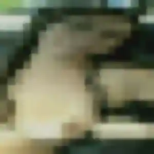 Emma, 24 ans, dispo pour plan cul à Theizé