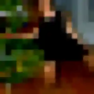 Odette (31 ans) à Thénezay attend une rencontre maintenant