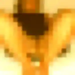 Photo de Clemence à Thilay (22 ans) - plan cul anonyme