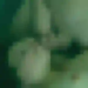 Photo perso de Imane, 44 ans à Thonnance-lès-Joinville - plan discret