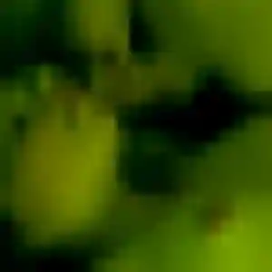 Sara, 43 ans, connectée à Torcé-Viviers-en-Charnie pour une rencontre coquine