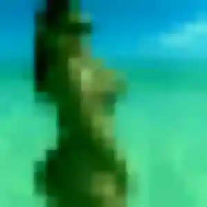 Sexy Siham, 34 ans à Torcé-Viviers-en-Charnie - découvrir son profil