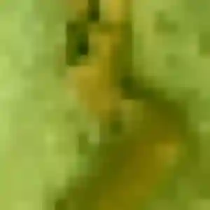 Profil de Nelly à Tortequesne (38 ans) - plan cul gratuit