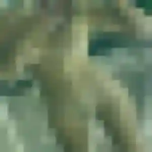 Photo exclusive de Yvonne, 23 ans à Tramain - rencontre coquine