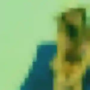 Rejoins Jade, 22 ans à Trébons gratuitement