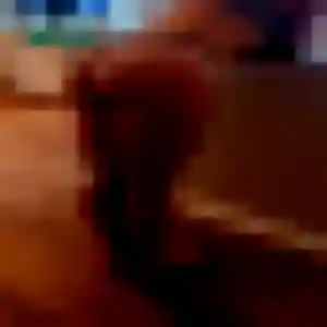 Photo exclusive de Elvire, 29 ans à Tréflez - rencontre coquine