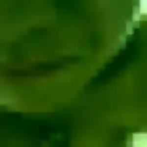 Contacte Odile, 39 ans à Trégarantec en privé