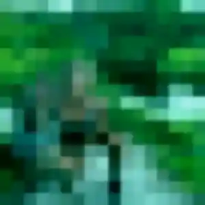 Photo de Imane à Trémorel (31 ans) - plan cul anonyme