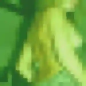 Sexy Marie-Jeanne, 32 ans à Triaize - la contacter