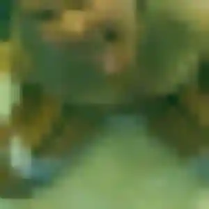 Helene, 26 ans, connectée à Trigny pour une rencontre coquine