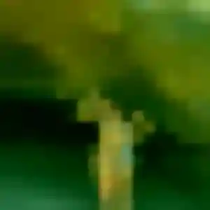 Rebecca, 39 ans, dispo pour plan cul à Trith-Saint-Léger