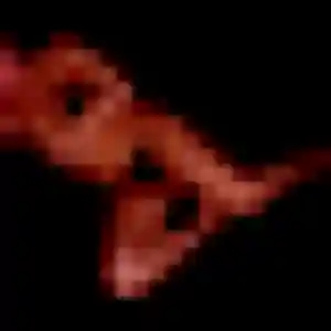 Photo perso de Marie-Jose, 34 ans à Tulette - plan discret