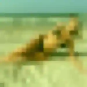 Photo exclusive de Faustine, 42 ans à Vaas - rencontre coquine