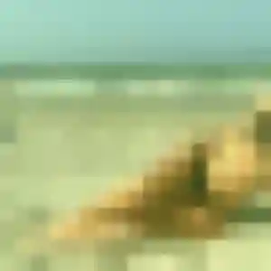 Marilou, 32 ans, connectée à Vairé pour une rencontre coquine