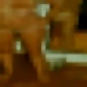 Belle Estee, 25 ans à Vallan - la contacter
