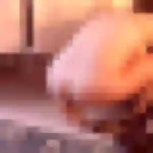 Pauline, 26 ans, en ligne à Varennes-sur-Seine pour une rencontre coquine