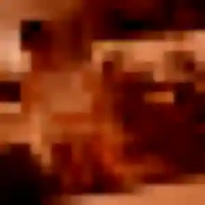 Marie-Ange, 45 ans, dispo pour plan cul à Vaugrigneuse