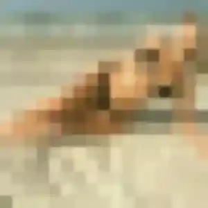 Profil de Viviane à Vélines (33 ans) - plan cul anonyme