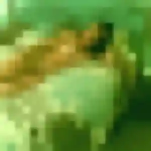 Colombine, 24 ans, en ligne à Venansault pour une rencontre coquine