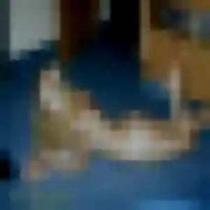 plan cul à Vendeuil : photo de Jeanne, 41 ans - accès libre