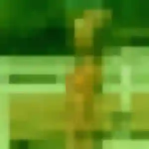 Ameline de Venerque, 43 ans - plan cul discret