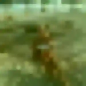 Profil de Marion à Vénissieux (26 ans) - plan cul gratuit