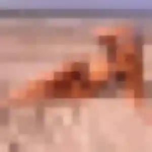 Photo de Jessica à Ventron (45 ans) - plan cul gratuit