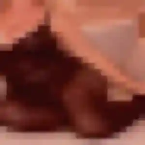 Sexy Aisha, 35 ans à Vérac - la contacter