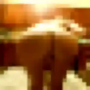 Photo perso de Agathe, 44 ans à Verchocq - rencontre coquine