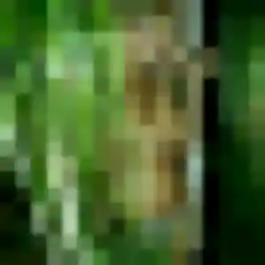 Photo de Justine à Verdalle (39 ans) - plan cul discret