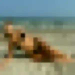 Profil de Laetitia à Verlinghem (31 ans) - plan cul gratuit