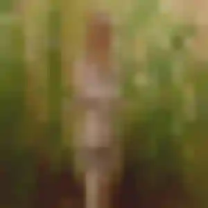 Profil de Alessandra à Vernon (27 ans) - plan cul discret