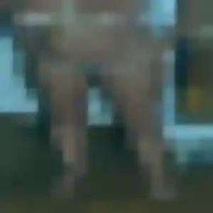 Perrine, 28 ans, connectée à Vidauban pour une rencontre coquine