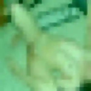 Photo perso de Natasha, 42 ans à Ville-en-Sallaz - plan discret