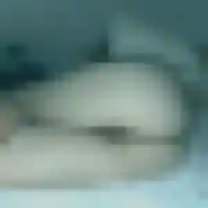 Ibtissam de Villechenève, 28 ans - plan cul en toute liberté