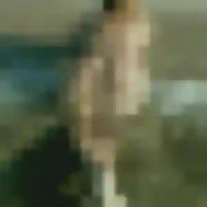 Wendy, 35 ans, disponible à Villy-le-Pelloux pour un plan cul