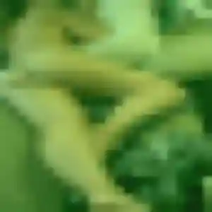 Photo privée de Clementine, 22 ans à Vinezac - plan discret